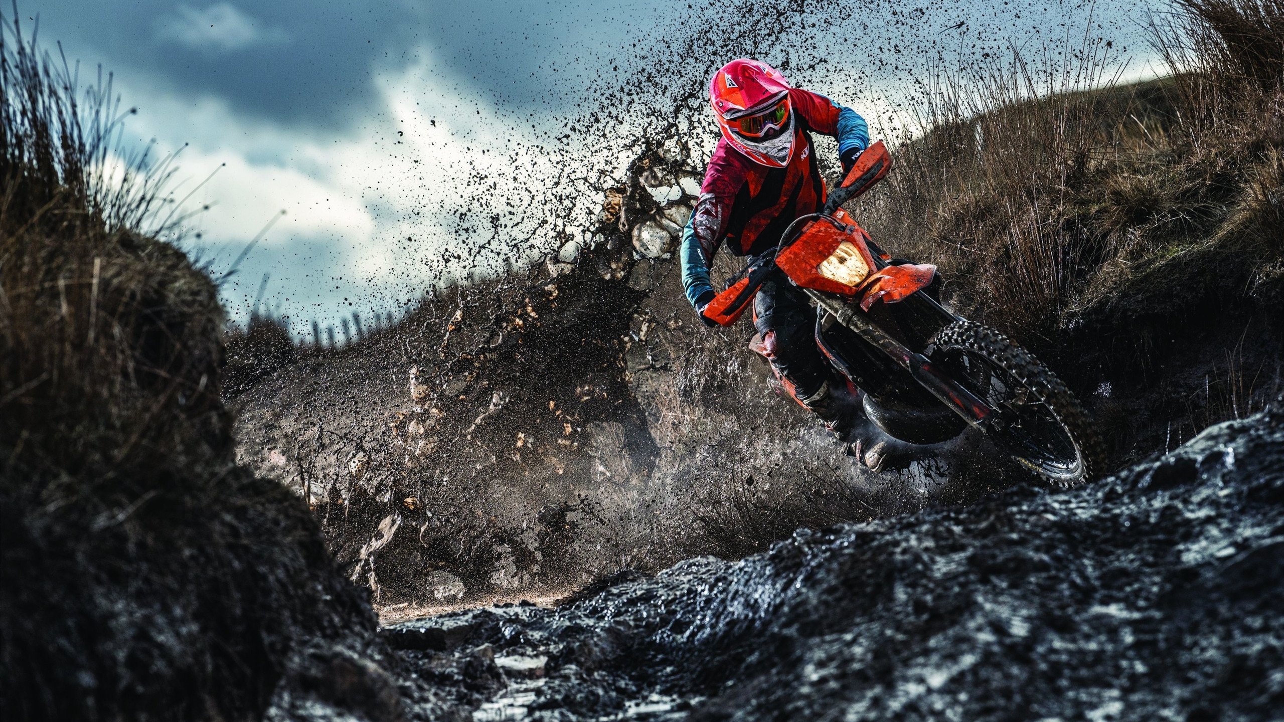 综合格斗赛场焦点！意大利队对阵澳大利亚队，核心球员受伤，球队前景蒙阴影